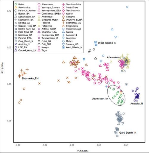 天山西部乌兹别克斯坦铁器时代晚期人群主成分分析及与欧亚东西部其他人群的遗传关系映射图